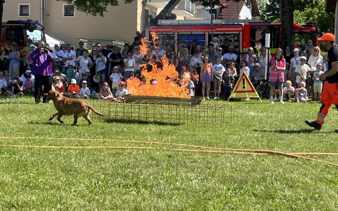 Blaulichttag in Dietersheim